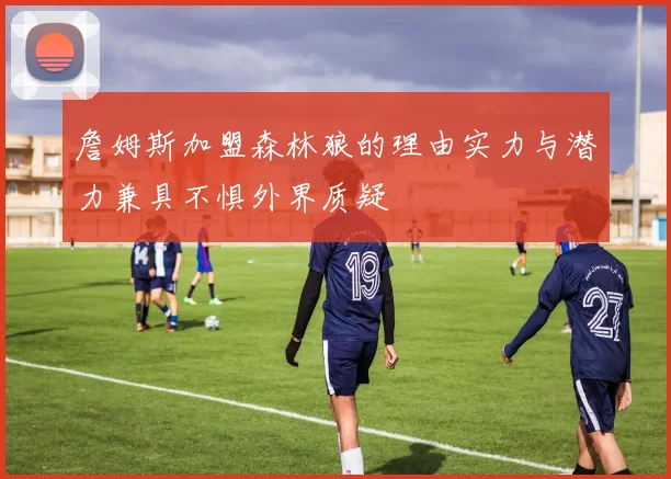 詹姆斯加盟森林狼的理由实力与潜力兼具不惧外界质疑