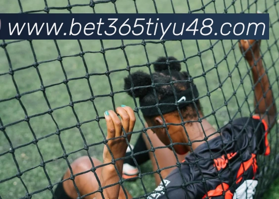bet365体育平台生态图
